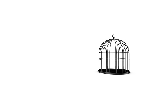 Empty Bird Black Cage On White Background, 3D Rendering Stock Photo,