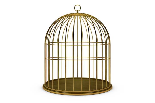Empty Bird Gold Cage On White Background, 3D Rendering Stock Photo Empty Bird Gold Cage On White Background, 3D Rendering Stock Photo, Gold Cage birdcage stock pictures, royalty-free photos & images