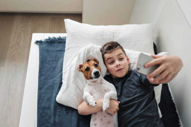 istock A young boy with a dog in a cozy interior. 1276831508