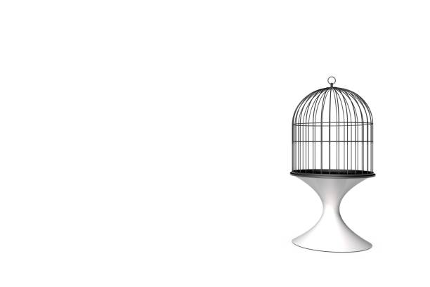 Black Empty Birdcage On White Stand And White Background, 3D Rendering Stock Photo