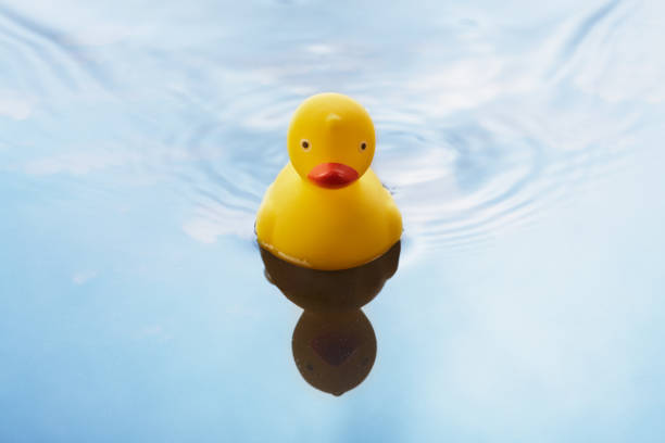 istock Yellow rubber duck toy swimming blue water causing waves and ripples 1276833999