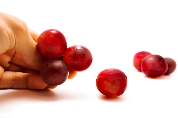 Background from red grapes close-up isolated photography