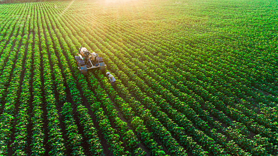 aerial view of agricultural field at sunset with farmer and tractor