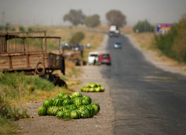 Watermelons on top of the cabin of a truck with blue tarpaulin