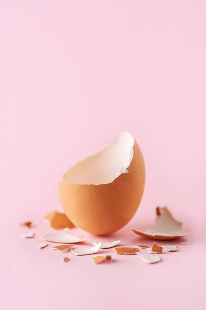 Cracked egg Cracked egg on pink background eggshell stock pictures, royalty-free photos & images