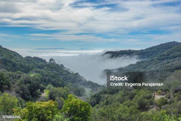 Beautiful Foggy Morning In Figueroa Mountain Canyon On Cloudy Sky Stock Photo - Download Image Now