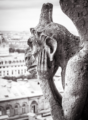 Notre Dame de Paris cathedral in black and white, Paris, France. Melancholic chimera statue like gothic gargoyle close-up, architecture detail of rooftop. Old Notre Dame is famous landmark of Paris.