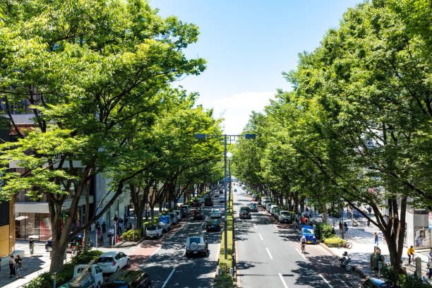 landschaft von frischem grünen omotesando2 - omotesando hills stock-fotos und bilder