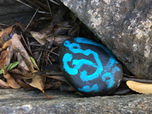 istock Painted Rock Hidden in Nature 1276867086