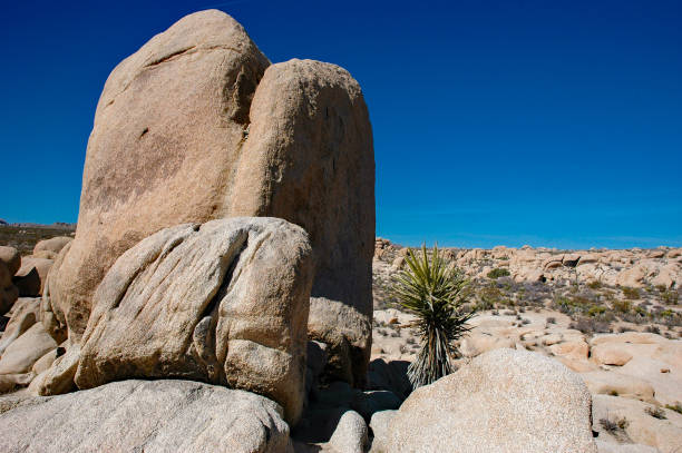 istock Joshua Tree National Park - Vertical Boulder in Desert Landscape 1276870962
