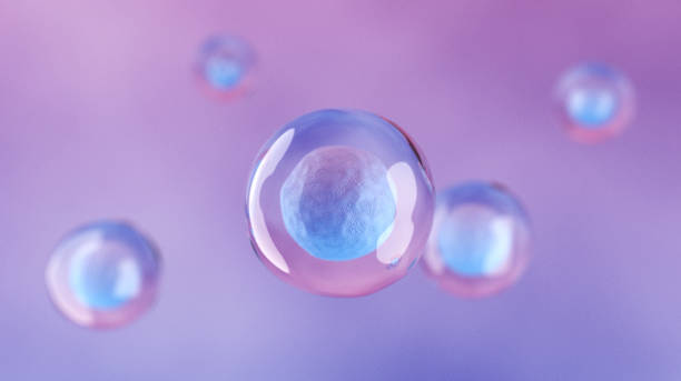 Human Stem Cell stock photo