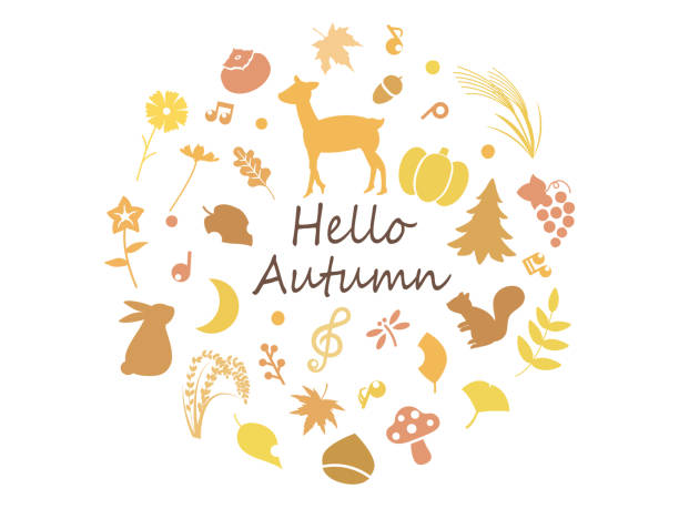 Autumn silhouette set It is an illustration of a Autumn silhouette set. ornamental grass white background stock illustrations
