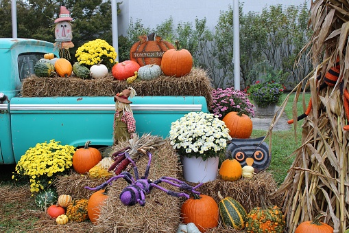 Autumn, fall decoration at pumplin patch featuing a scarecrow and wagon with straw and pumpkins in the background