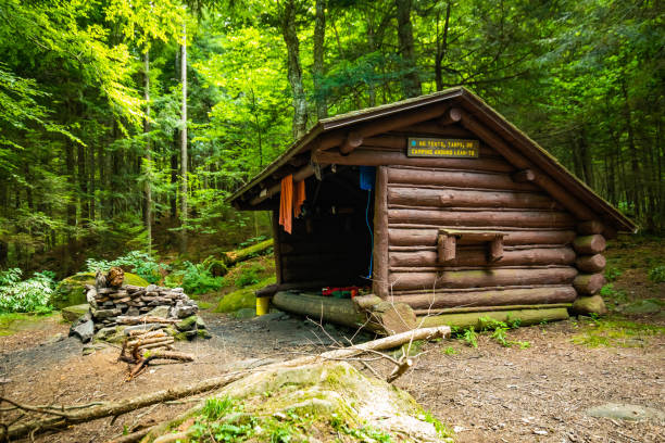 Wooden cabin in the forest with sleeping gear at summer nobody around