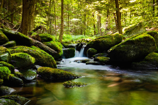 istock Peaceful view of summer river flowing through the green rocks 1276876791