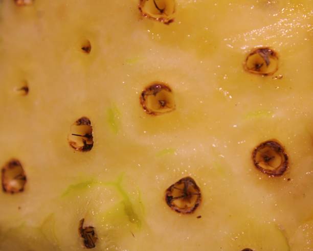 istock Healthy Fruits 1276878198