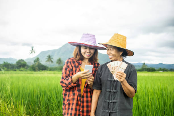 szczęśliwa rodzina azjatyckich rolników uśmiechających się z ręką trzymającą tajskie banknoty i używającą inteligentnego telefonu w swojej farmie ryżu - cash register old coin wealth zdjęcia i obrazy z banku zdjęć