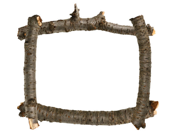 istock Isolated shot of cherry tree branches frame on white background. 1276885281