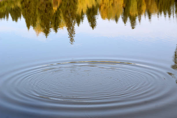 istock Ripple on the water, nature 1276896157