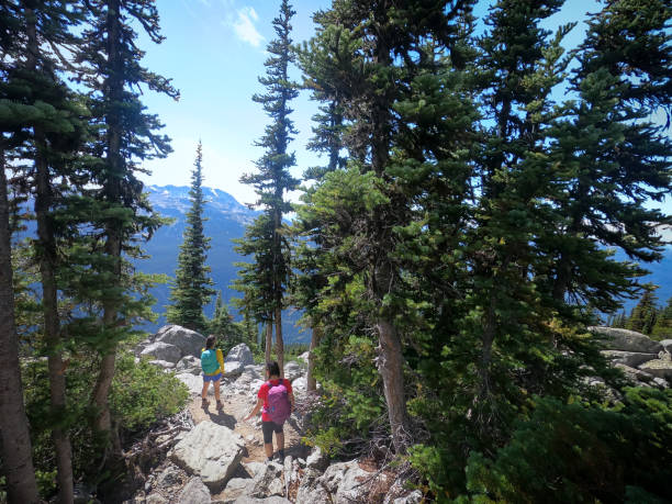 istock Two Eurasian Sisters Hiking to Viewpoint on Alpine Mountain Trail 1276899719