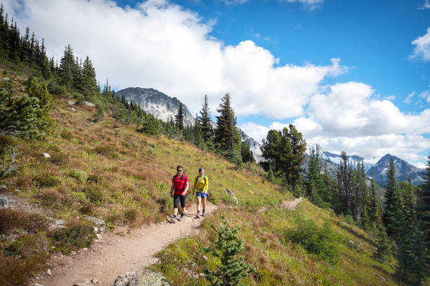 istock Sisters Hiking on Trail with Mountain Peaks in the Background 1276899734