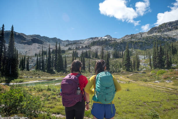 istock Sisters Hiking and Looking at Mountain Peaks Across Alpine Meadows 1276899754