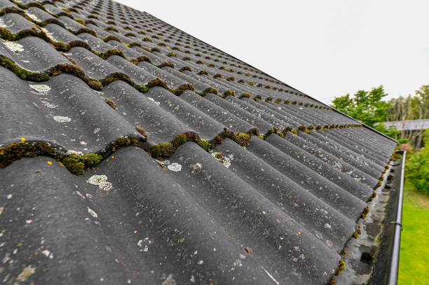istock tiled roof and gutter with moss and lichen 1276902575