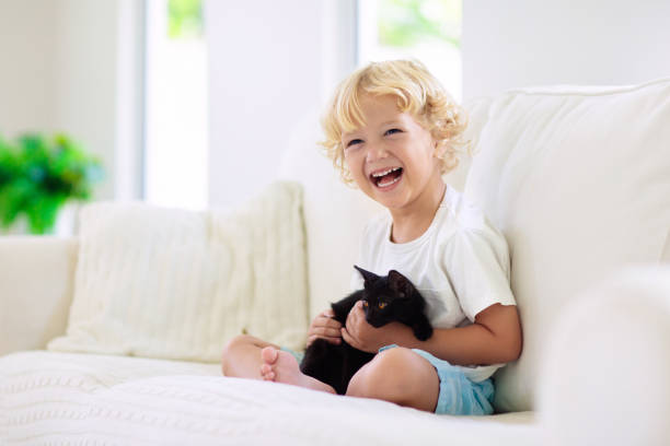 istock Child playing with baby cat. Kid and kitten. 1276909570