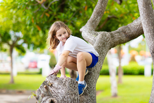 Kids climb tree in summer park. Child climbing. Adventure for young explorer. Children explore nature in sunny forest. Healthy outdoor activity for girl or boy in the woods.