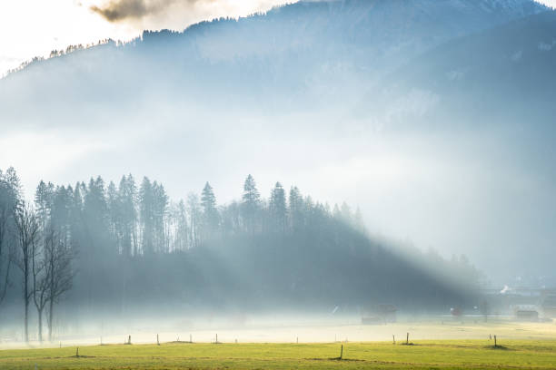 istock Sunrise in Alpine meadow 1276910551