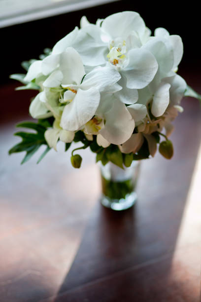 A beautiful bouquet of white orchid flowers against a white background, copy space. Phalaenopsis orchid plant.