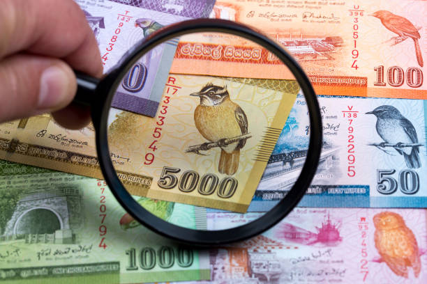 istock Sri Lankan rupee in a magnifying glass 1276912960