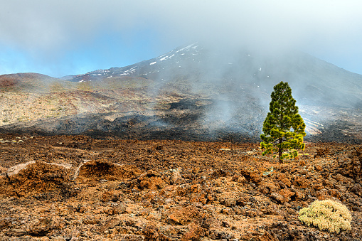 Landscape with mount Teide, volcano Teide and lava scenery in Teide National Park - Tenerife,Spain,Nikon D850
