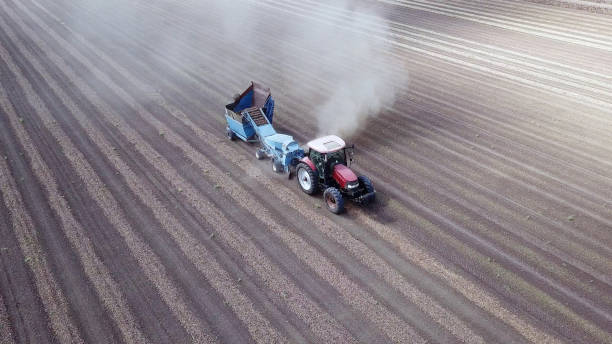 istock Almond combine harvester processing a field and Picking dry Almonds from the ground and blowing the dust. 1276914749