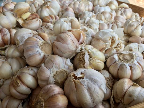 istock garlic traditional market 1276917814