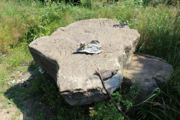 istock a stone in the field 1276918246