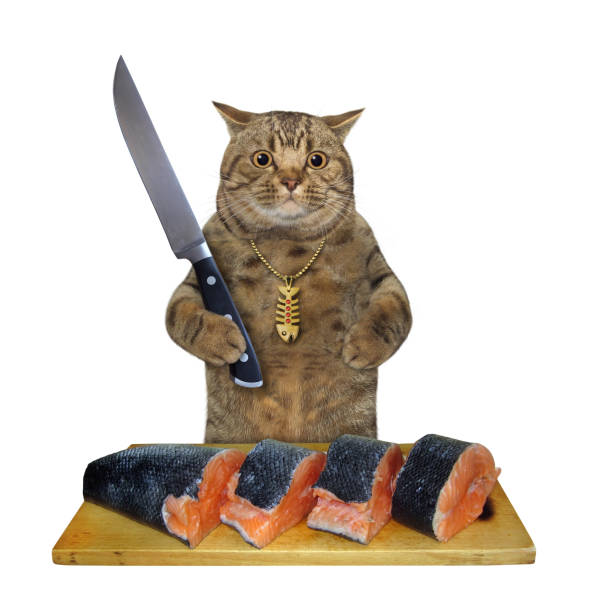 istock Cat cutting fish on wooden board 1276920571