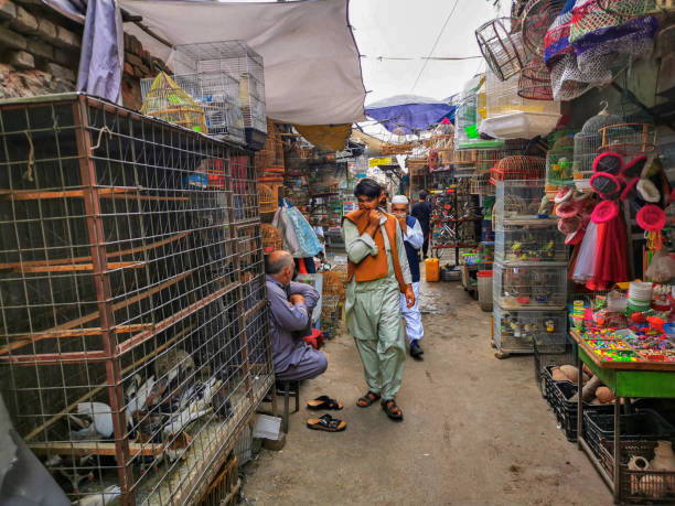 Kabul, Afghanistan - Sep 6, 2020: Afghan peoples are shopping and walking Old city bazaar of Kabul, Afghanistan animal baazar and bed smelll