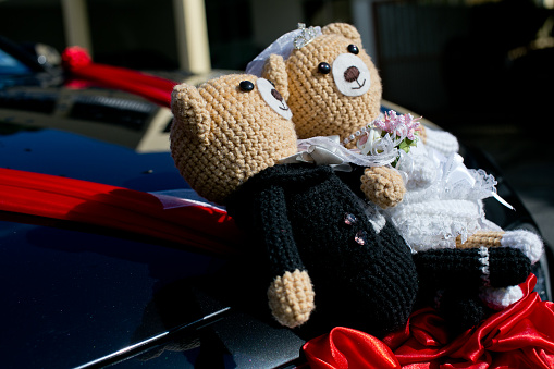 Wedding decorations on hood of car