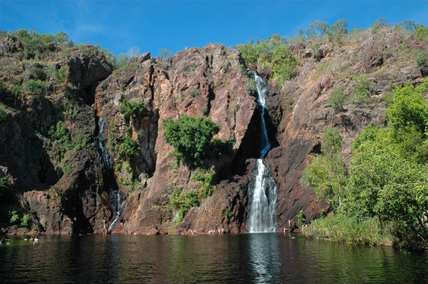 istock Waterhole in Litchfield NP, NT, Australia 1276928984