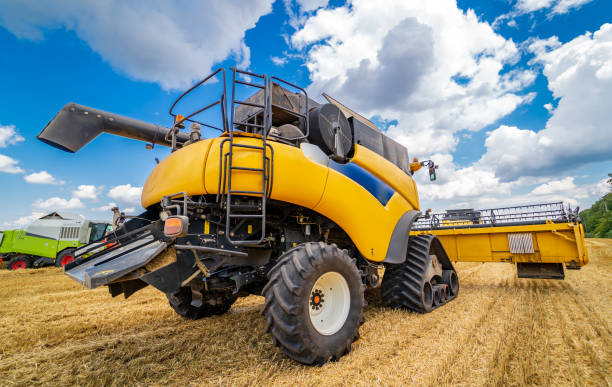 istock Summer wheat harvesting. Working rye harvester combine on gold wheat fields. Rye corn harvesters in action. Agricultural landscape. 1276929438