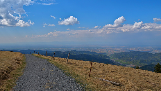 Panorama view from top of Belchen, one of the largest mountains in Black Forest, Baden-Wuerttemberg, Germany, in western direction over Rhine valley with road.