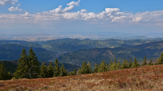 Panoramic view over the foothills of Black Forest, Germany with villages Münstertal and Staufen im Breisgau as well as Rhine valley in the background from the top of Belchen.