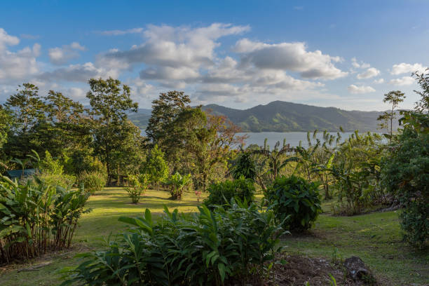 Park on the north shore of Lake Arenal in Costa Rica stock photo