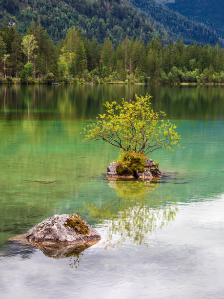 istock Lake Hintersee with rock and trees in the Berchtesgaden Alps, Germany 1276936868