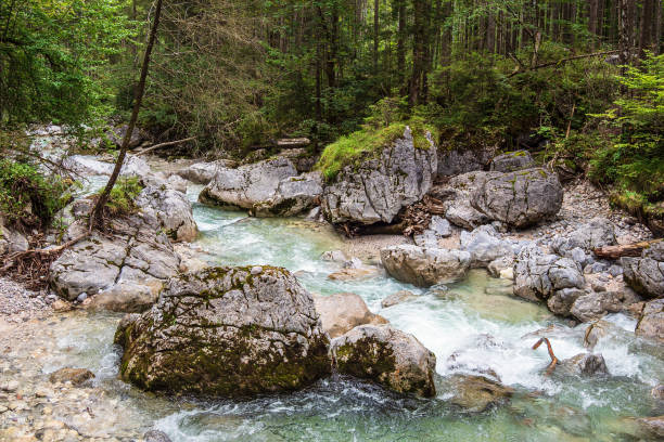 istock River Ramsauer Ache in the Berchtesgaden Alps, Germany 1276936946