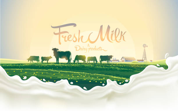 Rural landscape with cows and splash milk Rural landscape with herd cows and a splash of milk in the foreground. herd of cows stock illustrations