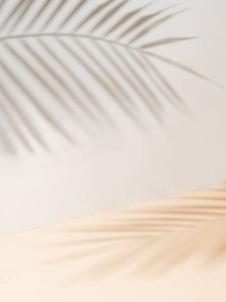 cień liści palmowych na białej ścianie, kremowa pastelowa podłoga - vertical color image nobody collage zdjęcia i obrazy z banku zdjęć