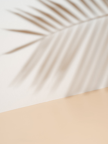 Sombra de hoja de palma en pared blanca, suelo pastel crema photo