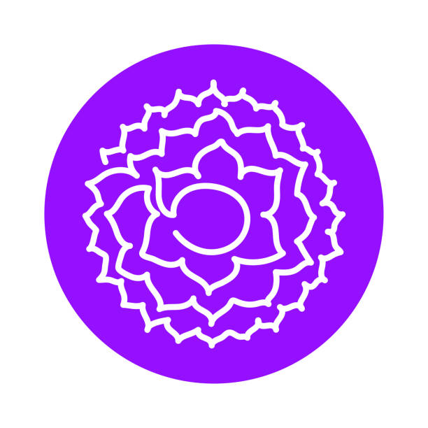 ilustraciones, imágenes clip art, dibujos animados e iconos de stock de icono de sahasrara. la séptima corona, chakra parietal. símbolo de línea púrpura vectorial. signo sagrado. meditación - om symbol lotus hinduism symbol